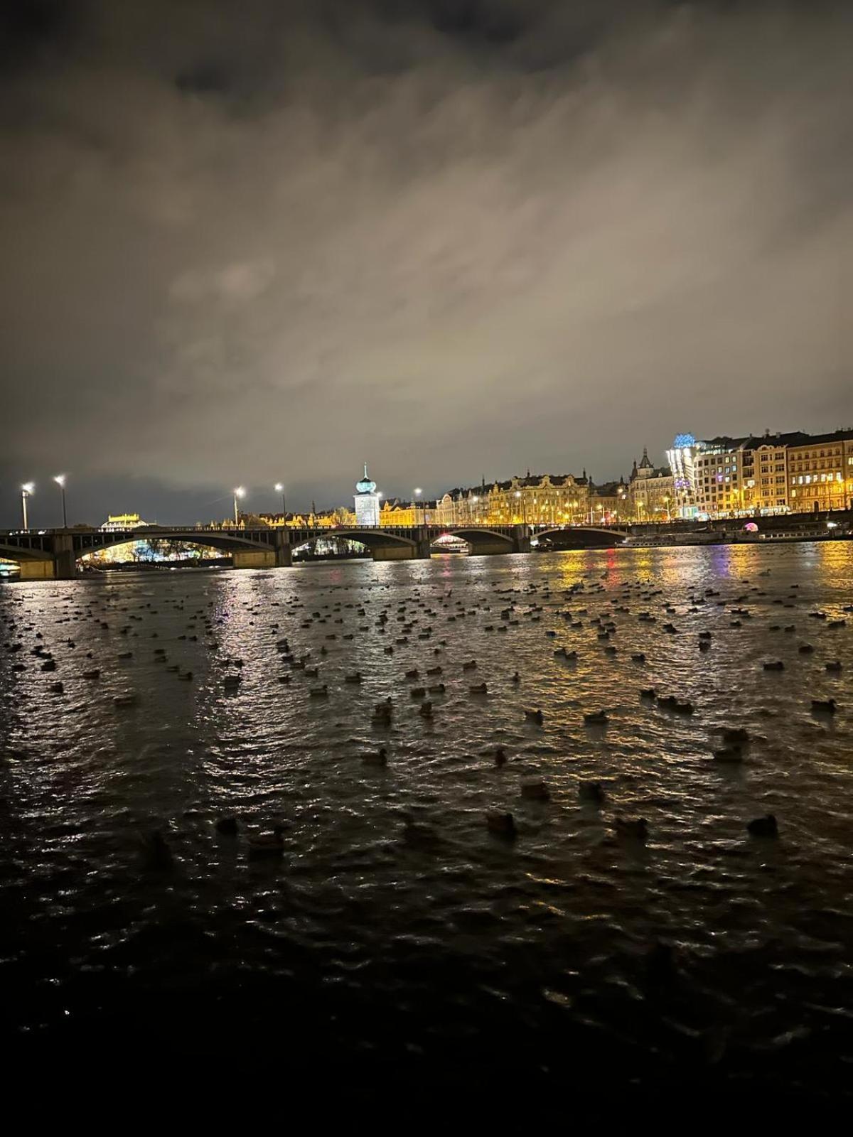 River View Manes Prag